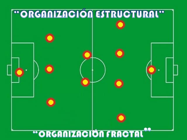 UNIDAD V  ORGANIZACION ESTRUCTURAL ...