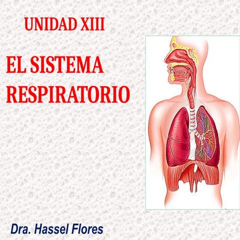 UNIDAD XI      Sistema Respiratorio.pptx