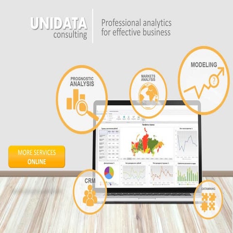 Unidata consulting