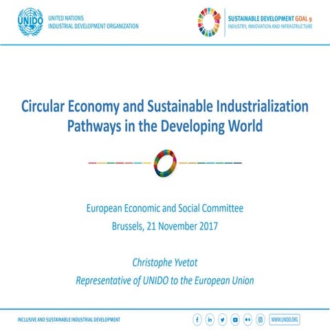 UNIDO: Circular Economy and Sustainable Industrialization Pathways in the Dev...