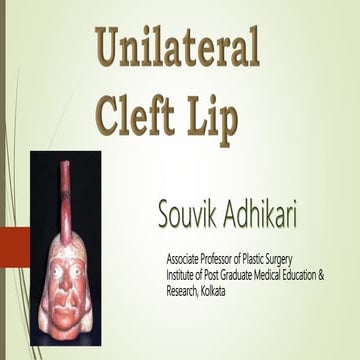 Unilateral cleft lip