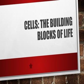 BIOLOGY 7 GRADE 7 SCIENCE UNI MUTLI.pptx