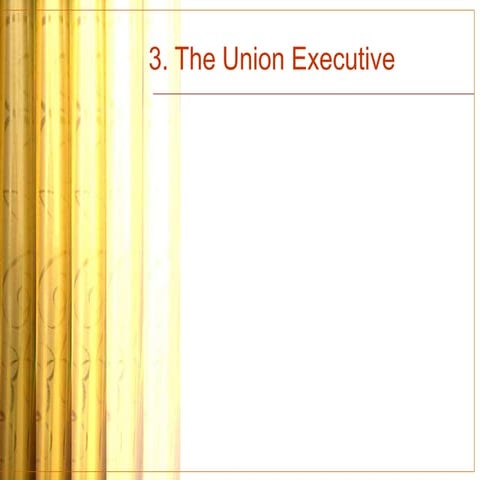 unionexecutive-Module 3.pptx