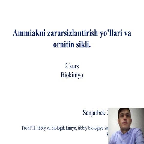 Mushukning labiyalarini pornografik tikish