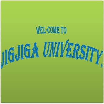 AUDITING PRINCIPLES AND PRACTICES CHAPTER ONE  HANDOUT