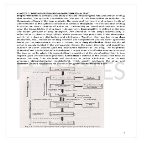 permeability in vivo in vitro in situ.pptx
