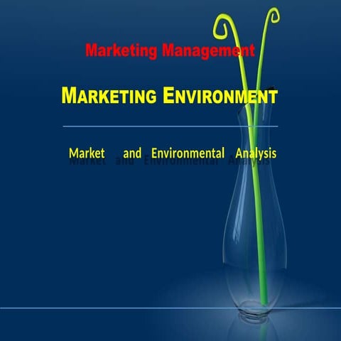 Understanding Marketing Enviroment in the year 2025