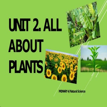 Unit 3-plants-converted