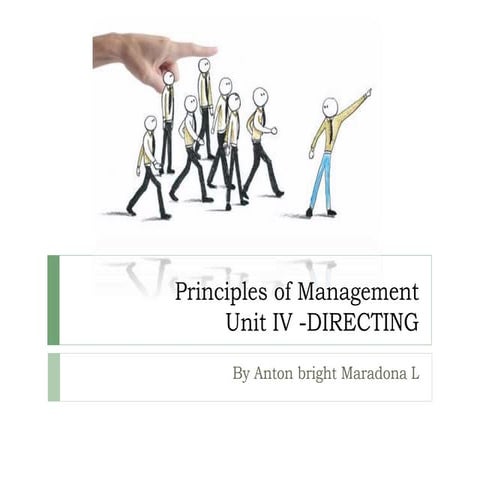 Principles of Management (MG 6851) Unit 4
