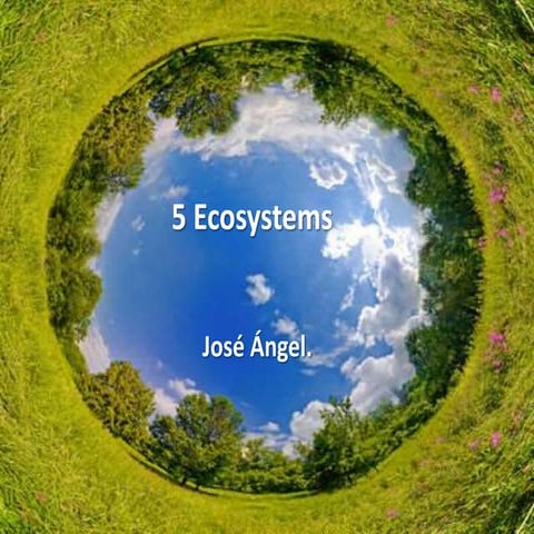 Unit 5 ecosystems
