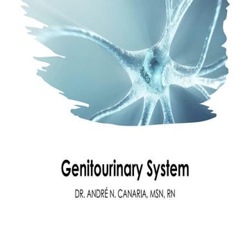 Fluid And Electrolytes Burns G.U. | PPT