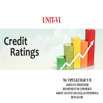 Unit 6 Credit Rating- FIS