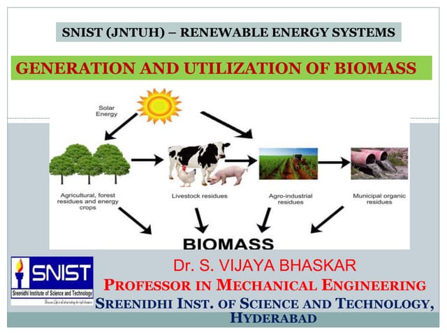 BioMass - Generation and Utilization