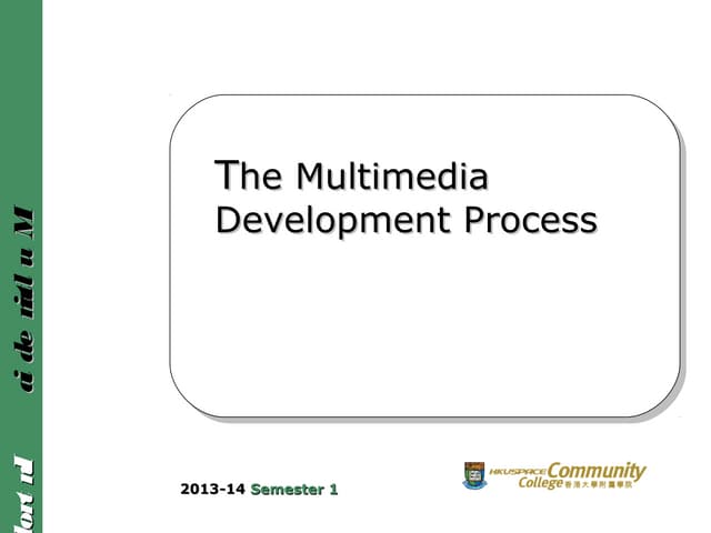 Multimedia development process