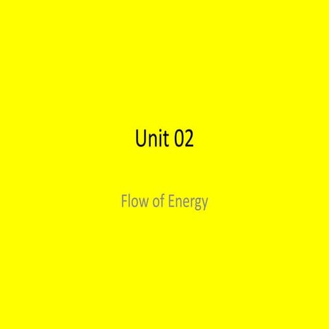 02 Energy Flow through Ecosystems | PPT