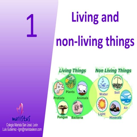 Vocabulary unit 1. Living things