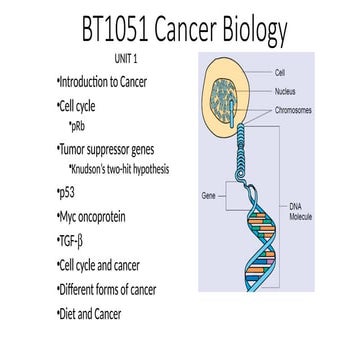 Cancer Biology basics and different forms of cancer | PPTX