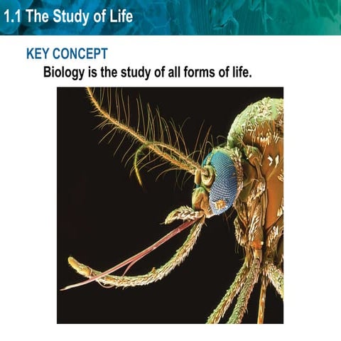 Unit 1 Introduction To The Study Of Life