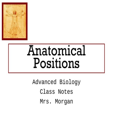 Anatomical positioning notes