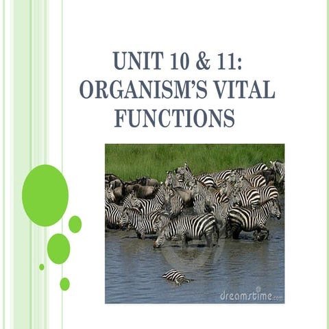 Unit 10 & 11: Organism's vital functions