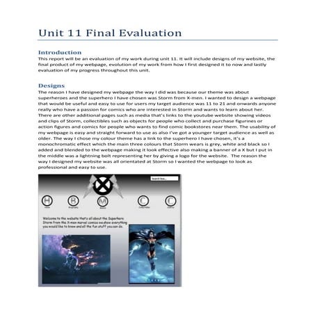 Unit 11 final evaluation irene