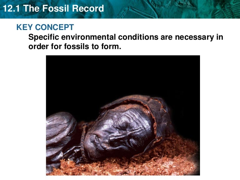 Unit 13a Fossil record and geologic time scale