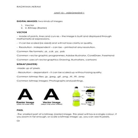 Unit 13 Report - 4018