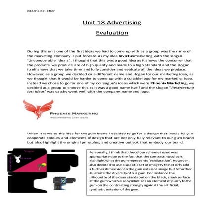 Unit 18 advertising evaluation 