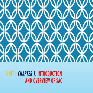 Here is a detailed explanation of about how SAC works in real time | PPTX
