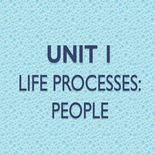 Unit 1  life processes people