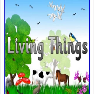 Unit 1 living things year 5 study