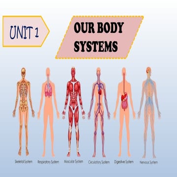 UNIT 1 OUR BODY SYSTEMS PRESENTAION FOR STUDENTS