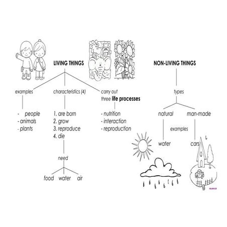 Unit 1 Outline (answers)