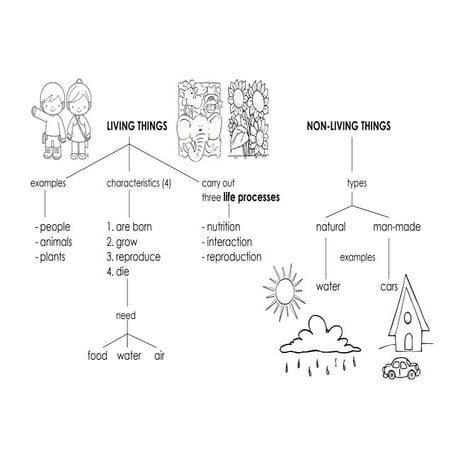 Unit 1 Outline (answers)