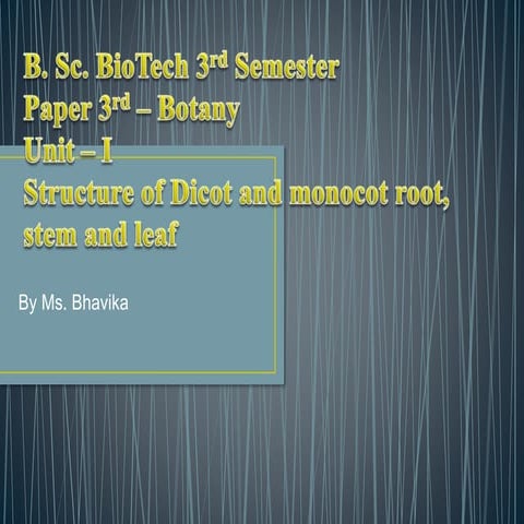Unit1 part 1 (1).pptx dicot anatomy in which it will show the anatomical stru...