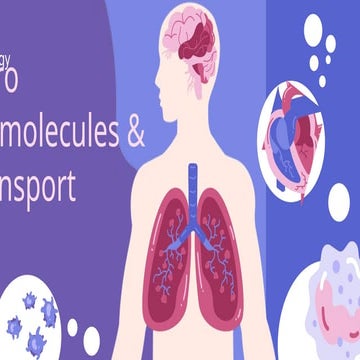 Unit 1 Part 1 Cell Basics Of The Psychology
