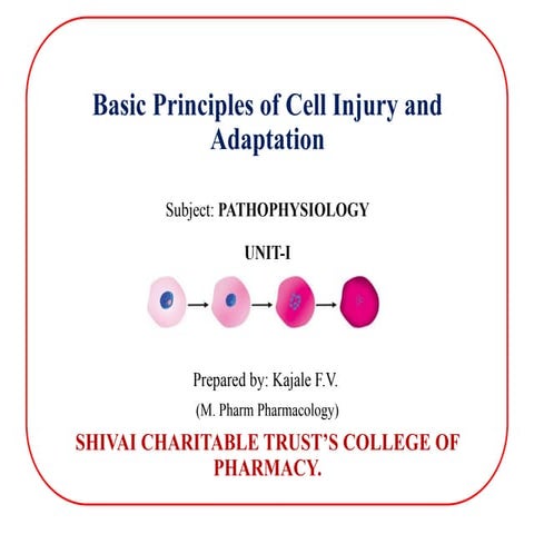 Basic Principles of Cell Injury and  Adaptation