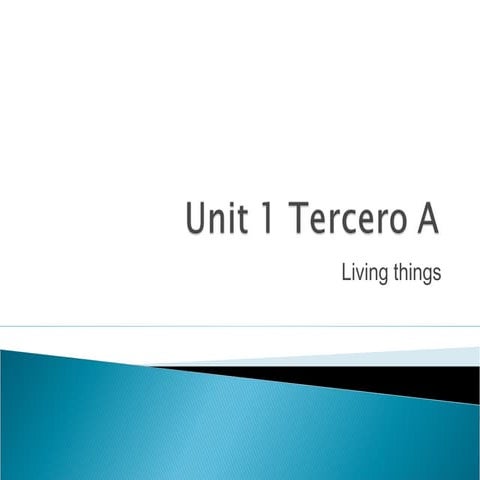 Unit 1 tercero a
