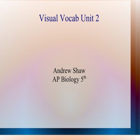 Unit 2 Visual Vocab | PPT