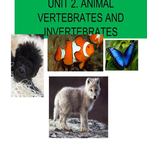 Unit 2. vertebrates and invertebrates animals