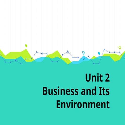 Business and Its Environment - Unit 2 Organizations and Management Concepts