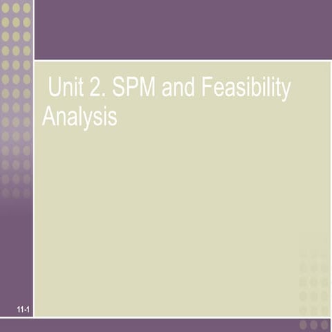 Unit 2. SPM and Feasibility Analysis.ppt