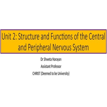 Nervous system The CNS & PNS presentation