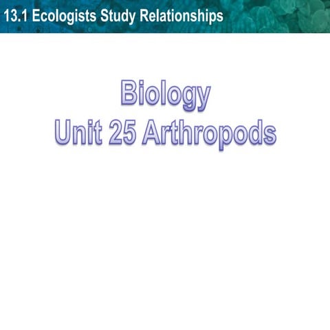 Unit 24 Arthropods