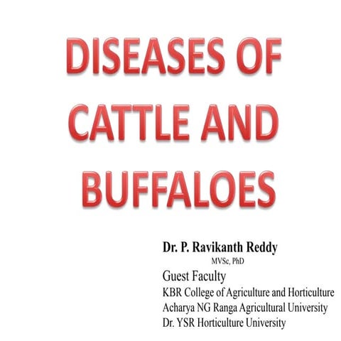Unit 25 Diseases of Cattle and Buffalo.pptx