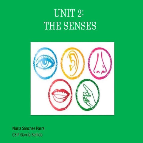 Unit 2 6th: The senses