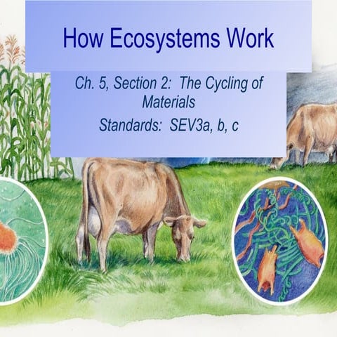 Unit 2 a ch 5 s2  the cycling of materials