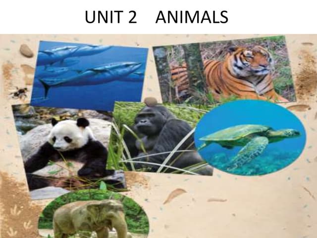 Animal parts and their functions | PPTX