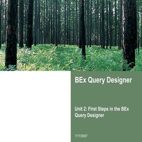 Unit 2 b_ex_query_designer