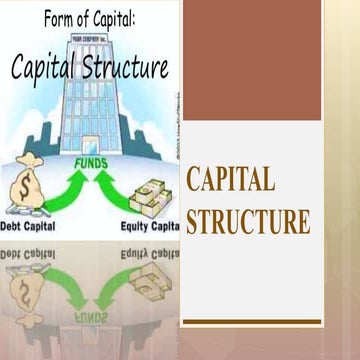 Unit 2 capital stracture